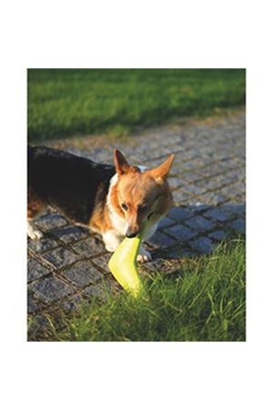 M-Pets Köpek Oyuncağı Splash Frizbi Turuncu