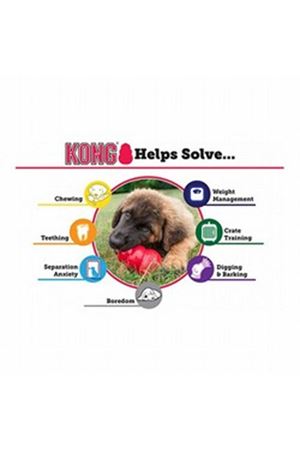 Kong Yavru Köpek Oyuncağı Puppy L