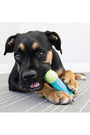 Kong Köpek Oyuncağı Çiğneme M