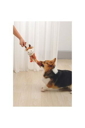 M-Pets Köpek Oyuncağı Zia 33*26*10 Cm