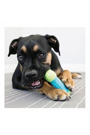 Kong Köpek Oyuncağı Çiğneme S/M