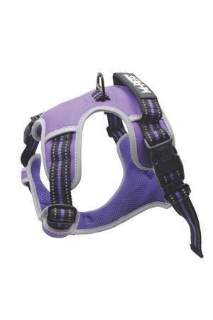 M-Pets Köpek Göğüs Tasma Hiking Reflektör Mor (L)