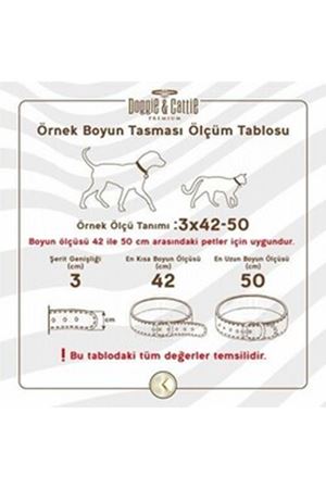 Doggie Köpek Boyun Tasması Royal Mavi 3*42-50 Cm