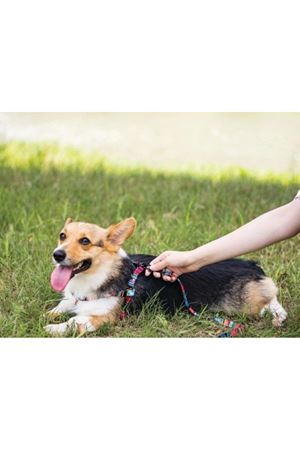 M-Pets Köpek Göğüs Tasması Urban Style (S) 120 Cm