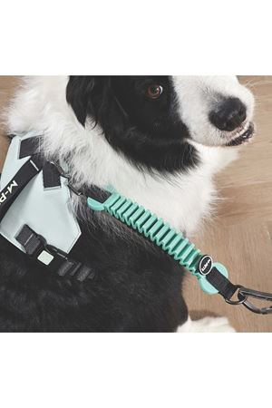 M-Pets Köpek İçin Şok Emici Ara Kayış Yeşil 25 Cm