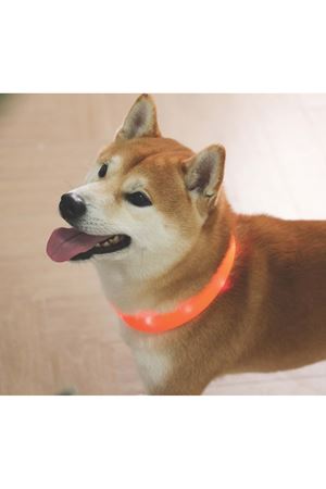 M-Pets Boyun Tasması Flash Ledli Neon Turuncu (S)