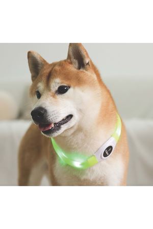 M-Pets Boyun Tasması Flash Ledli Neon Yeşil (M)