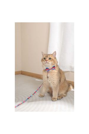 M-Pets Köpek Papyon Urban Style Jazz Sripes (XS-S)