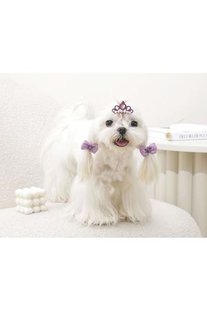 M-Pets Glam Köpekler İçin Toka Mor
