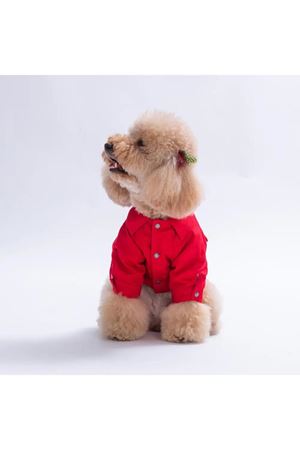 Pawstar Ceket Cancun Pop Kırmızı (M)