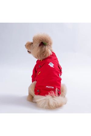 Pawstar Ceket Cancun Pop Kırmızı (L)