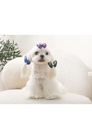 M-Pets Kedi ve Köpek Toka Kelebekli Karışık Renkli