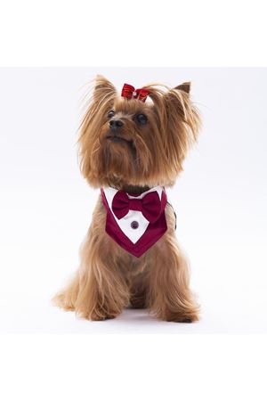 Pawstar Bordo Smokin Fular