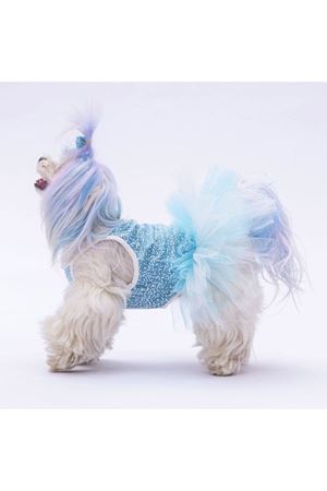 Pawstar Elbise Mavi Puantiyeli (L)