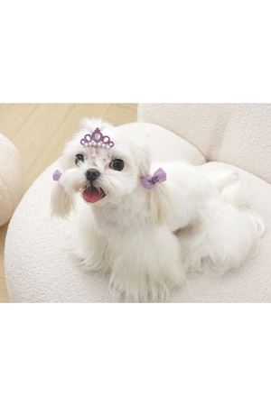 M-Pets Glam Köpekler İçin Toka Mor
