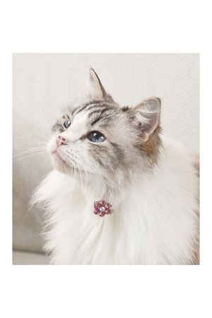 M-Pets Kedi ve Köpek Toka Çiçekli Pembe Beyaz