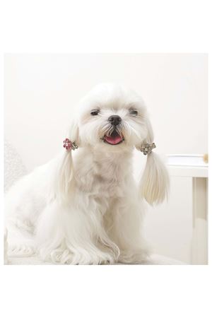 M-Pets Kedi ve Köpek Toka Çiçekli Pembe Beyaz