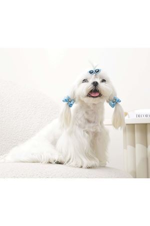 M-Pets Glam Köpekler İçin Toka Mavi