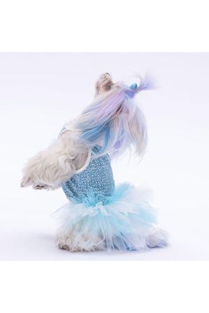 Pawstar Elbise Mavi Puantiyeli (M)