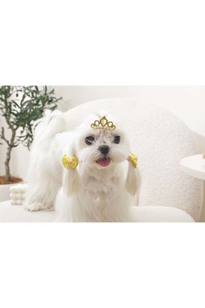 M-Pets Glam Köpekler İçin Toka Sarı
