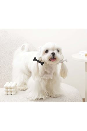 M-Pets Kedi ve Köpek Toka Kemikli Siyah Beyaz