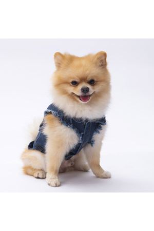 Pawstar Kot Yelek (XL)