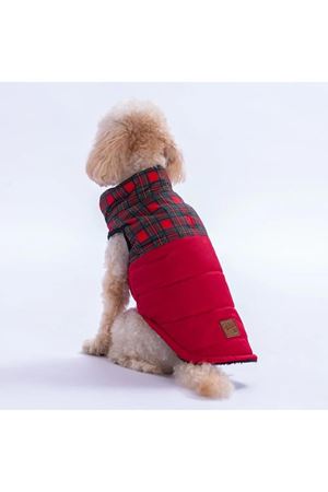Pawstar Yelek Elgin Paws Kırmızı (L)
