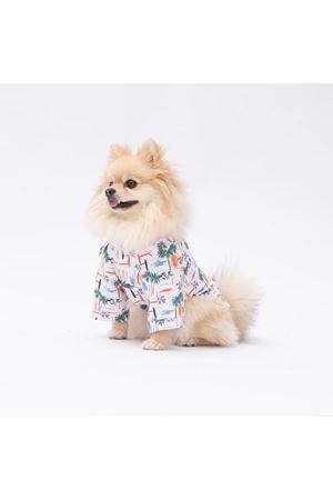 Pawstar Shirt Beach Palmiye Desenli (L)