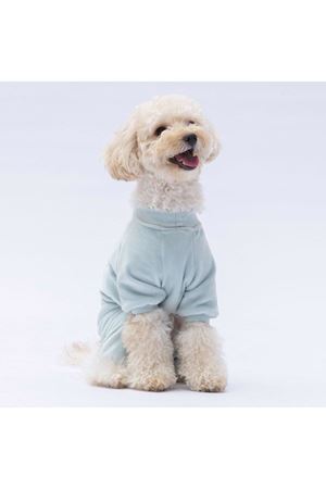 Pawstar Tulum Mint Angers (2XL)