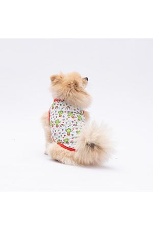 Pawstar T-Shirt Mutlu Kaktüs Desenli (M)