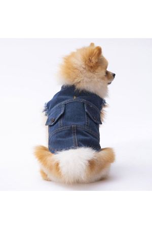 Pawstar Kot Yelek (M)