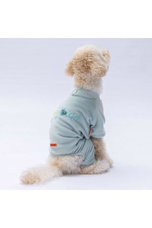 Pawstar Tulum Mint Angers (M)