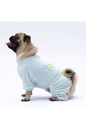 Pawstar Tulum Mint Angers (S)