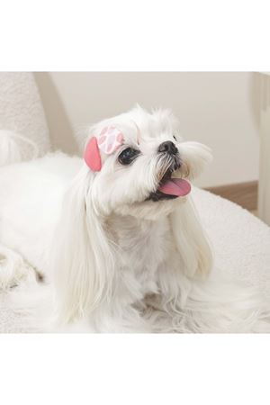 M-Pets Glam Köpekler İçin Toka Kırmızı