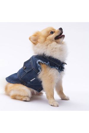 Pawstar Kot Yelek (M)