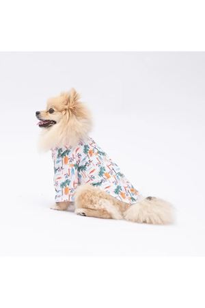 Pawstar Shirt Beach Palmiye Desenli (M)