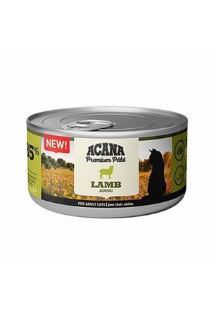 Lotus Kedi Tırmalama Padua Bal Rengi