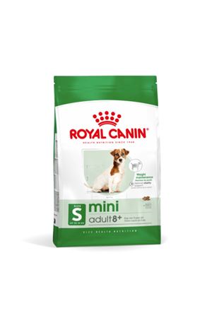 Pawstar Köpek Ayakkabısı Turuncu No:2