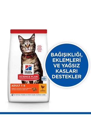 Benetton Yatak Çizgili Turuncu (M) 70*50 Cm