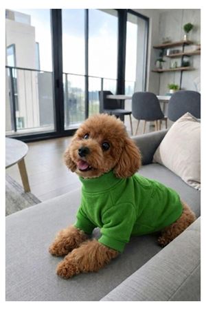 Benetton Ceket Yeşil (XXL)