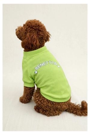 Benetton Sweatshirt Açık Yeşil (L)