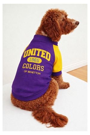 Benetton Sweatshirt Lacivert (XXL)