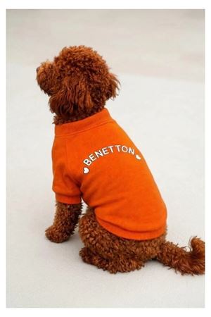 Benetton Sweatshirt Turuncu (XL)