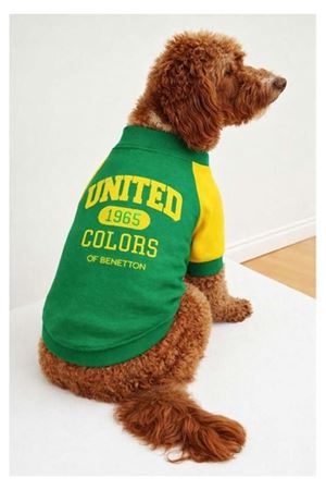 Benetton Sweatshirt Yeşil (XXL)