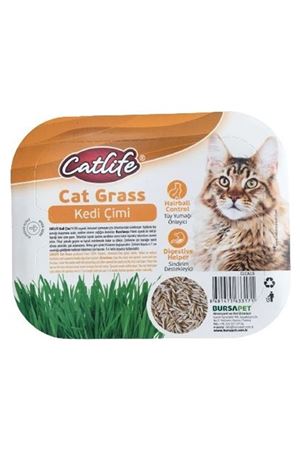 Catlife Kedi Çimi