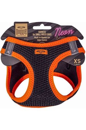 Doggie Köpek Göğüs Tasması Küçük Irk Neon Turuncu