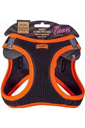 Doggie Köpek Göğüs Tasması Neon Turuncu(S)
