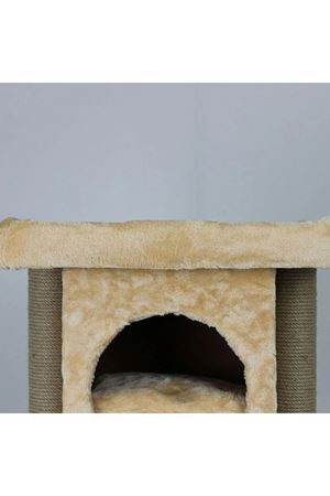 Lotus Kedi Tırmalama İzmir Bal Rengi