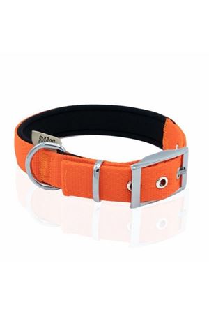 Doggie Köpek Boyun Tasması Elit Turuncu 42-50 Cm