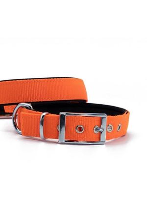 Doggie Köpek Boyun Tasması Elit Turuncu 42-50 Cm